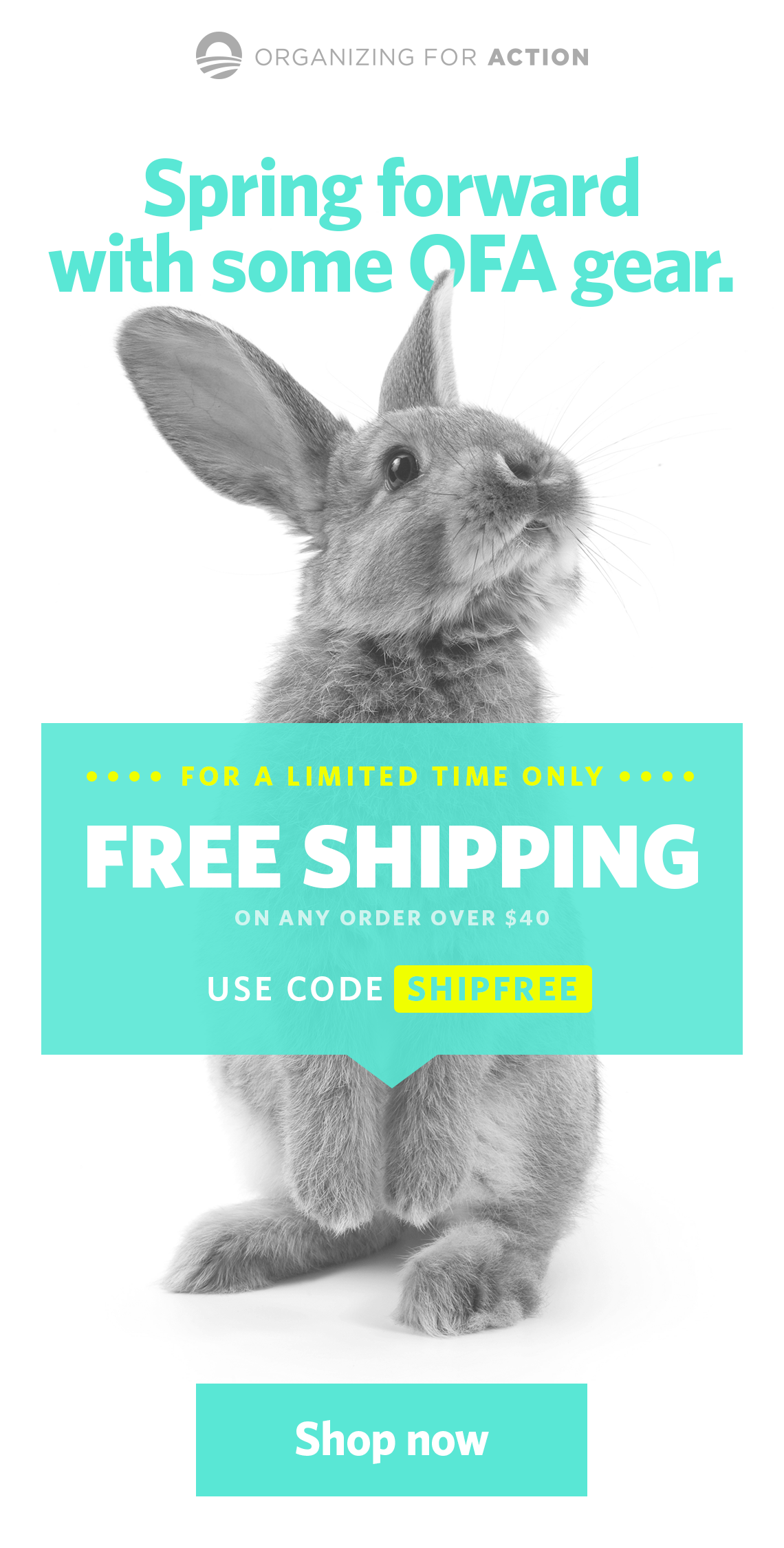 store_freeship_email